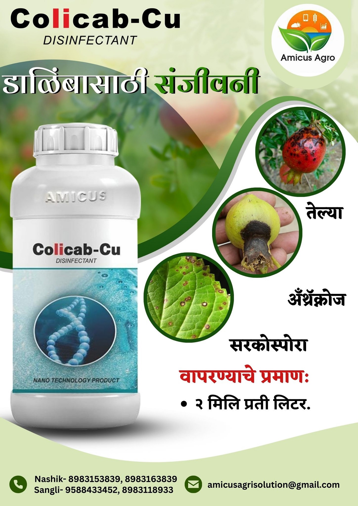 Leaflet 3